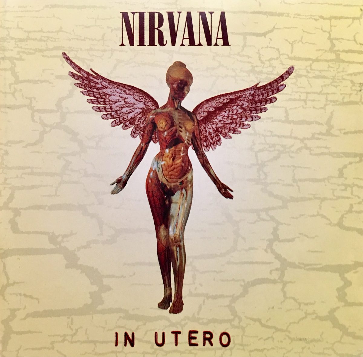 IN UTERO
