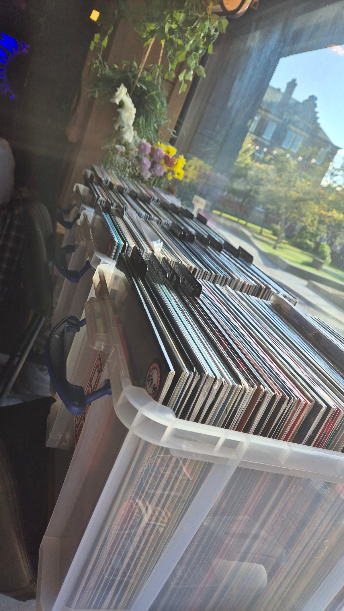 ALL MUSIC
