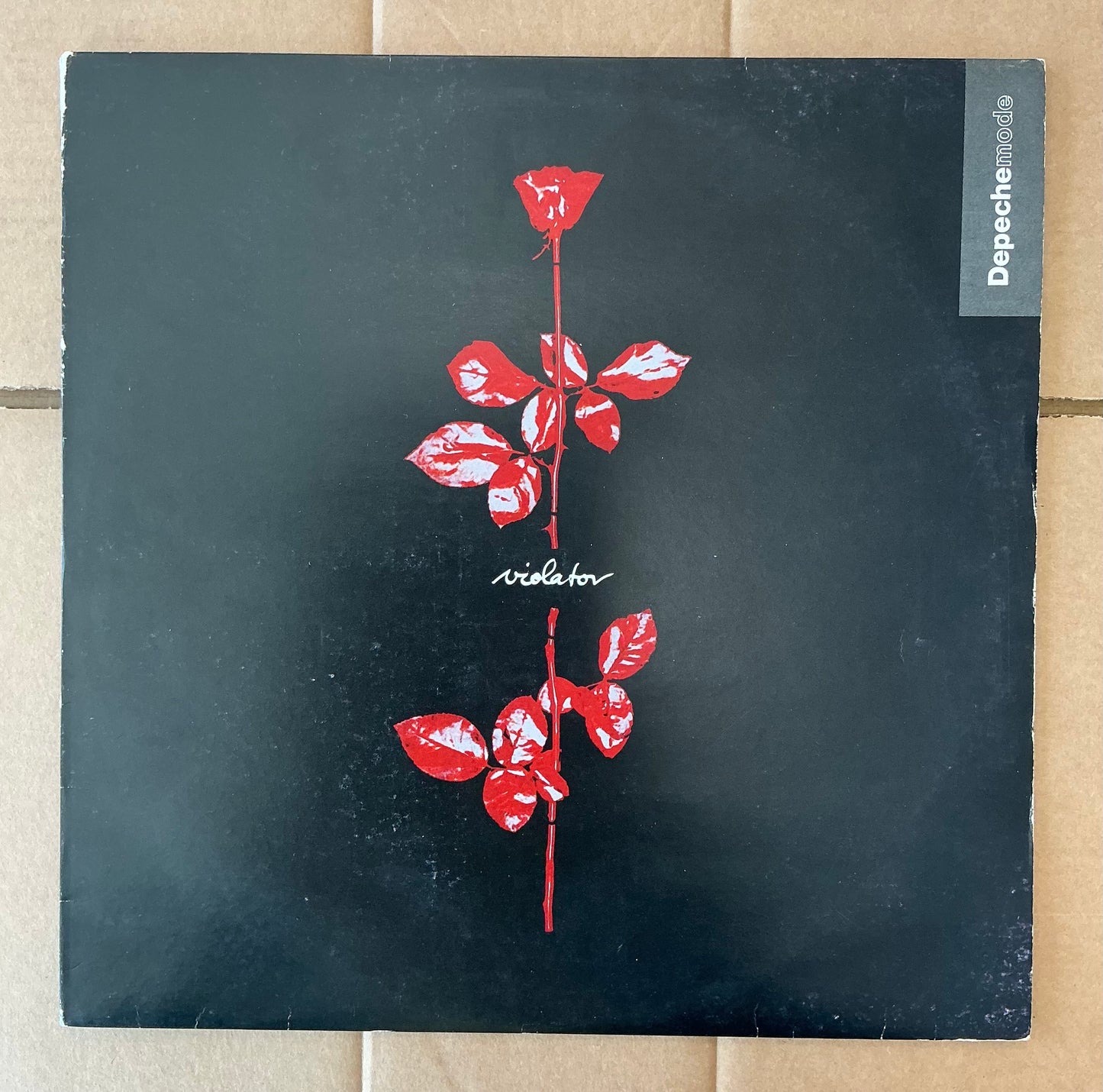 VIOLATOR