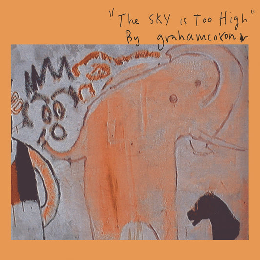 THE SKY IS TOO HIGH
