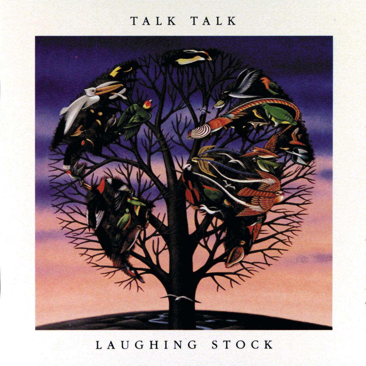 LAUGHING STOCK